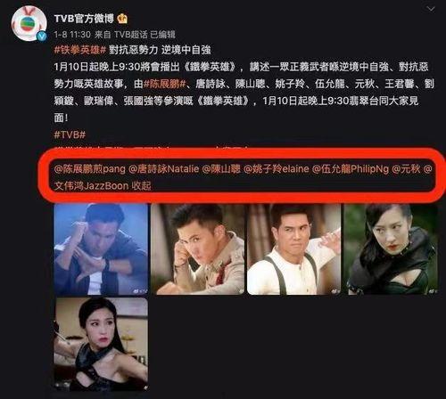 tvb武打明星 彪,硬汉风采，拳拳到肉的经典瞬间