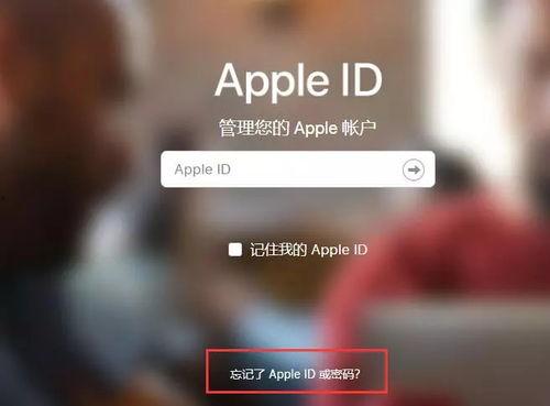 苹果xs怎么登录头条,体验便捷资讯之旅