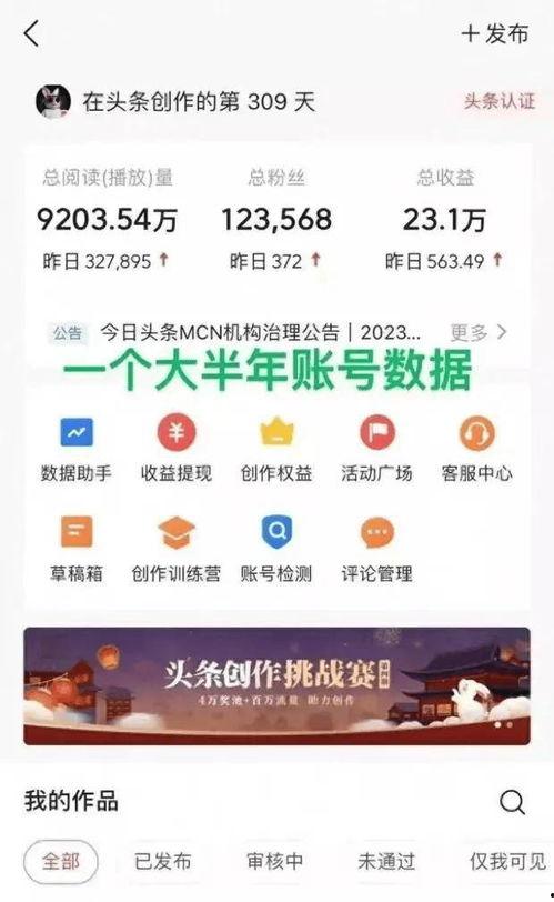 头条赚钱赚了多少钱,揭秘月入过万的秘密