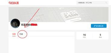 如何看已收藏今日头条,揭秘热门内容背后的趋势与喜好