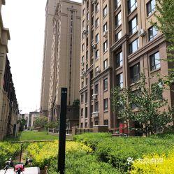 中海城锦城附近吃瓜,夏日吃瓜好去处大盘点