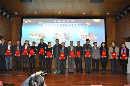 头条城市征文,头条城市征文中的都市生活韵律