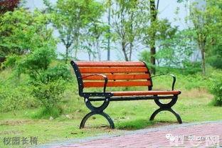 校园长椅吃瓜,揭秘校园里的闲聊趣事