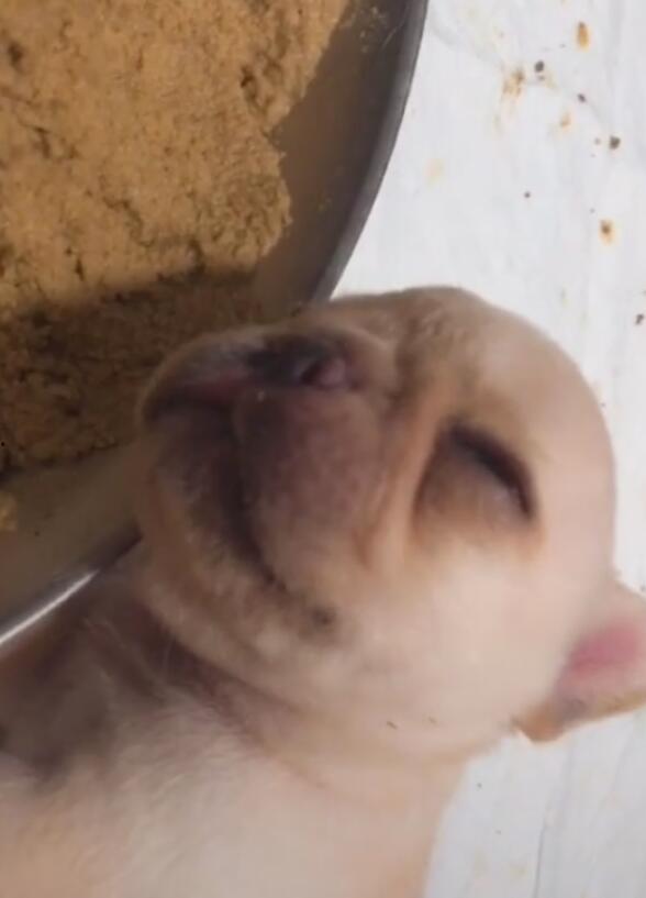 耳朵凑近吃瓜,揭秘娱乐圈的幕后故事