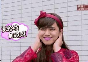 网红朱碧石,网络红人的魅力与影响力