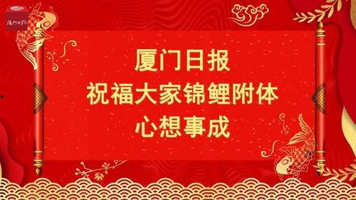 厦门头条小吃视频素材,独家小吃视频带你一网打尽闽南味蕾盛宴