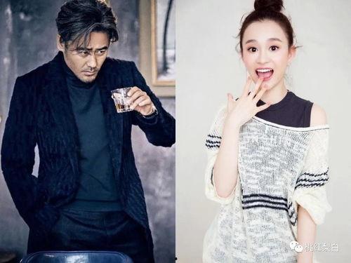 明星下马,揭秘明星陨落背后的真相与反思