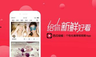 头条西瓜电影怎么投屏,轻松实现手机大屏观影