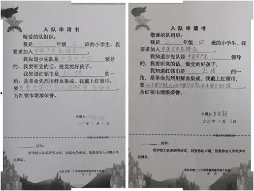 头条小店运营证明怎么写,揭秘高效运营策略与成果展示