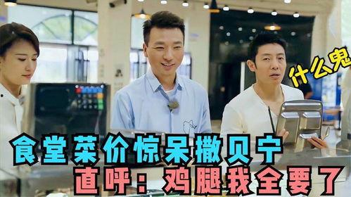 明星吃饭合集国产,明星们的美食盛宴