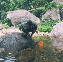 溪流鱼吃瓜吗,溪流鱼与瓜果的奇妙邂逅