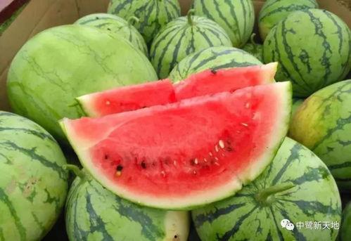 今日吃瓜每日大瓜网红