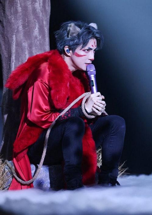 b站的明星,揭秘网络红人的崛起之路