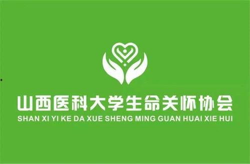 社旗微头条,聚焦本土动态，解码社旗发展新篇章