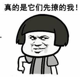 好想看前任吃瓜啊免费阅读,免费阅读，揭秘前任那些事儿