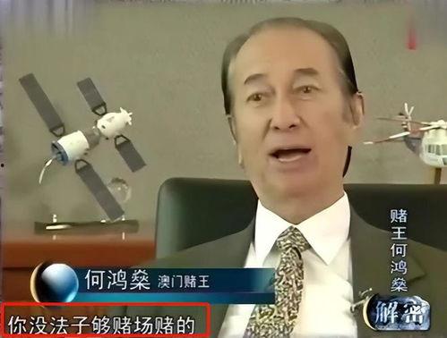 明星赌,揭秘明星赌坛传奇