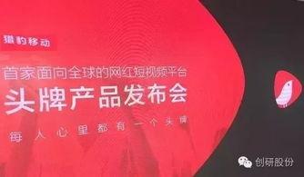 网红 助推,揭秘网络红人如何助推品牌崛起