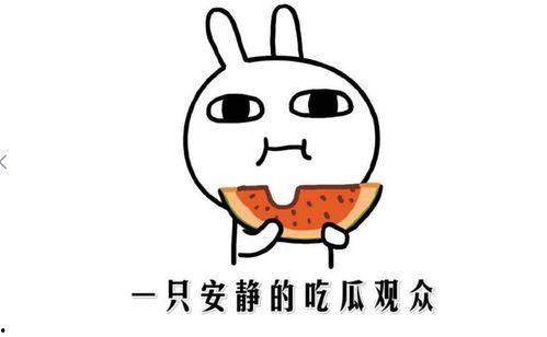 网上流行吃瓜是什么意思,吃瓜背后的文化现象与社交心理