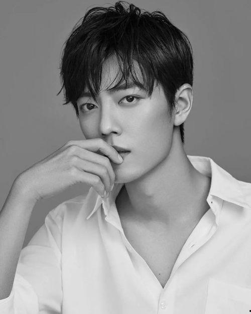 娱乐圈吃瓜爆料肖战小说